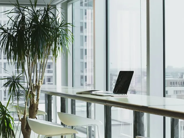 Laptop open on a calm office desk